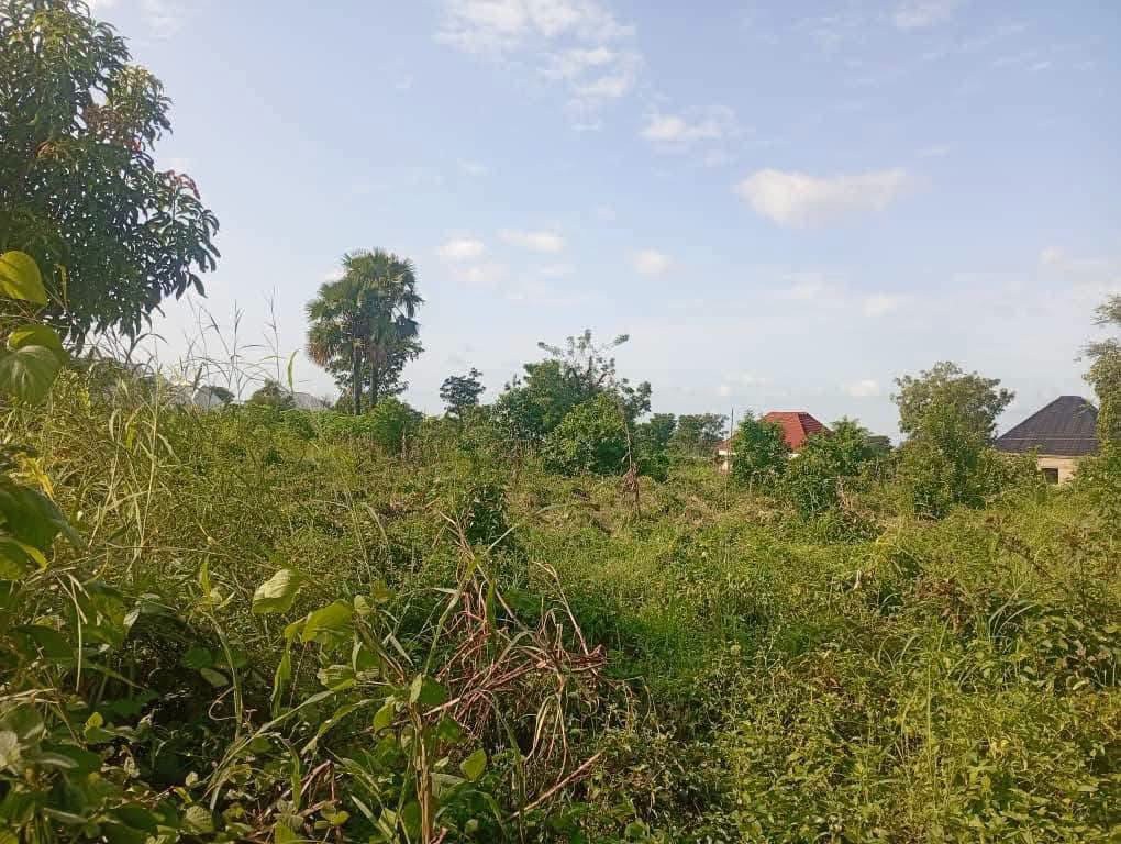 Additional view of Plot of Land at Tse Poor Layout