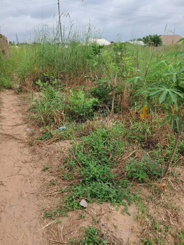 Additional view of Double Plot of Land for Sale
