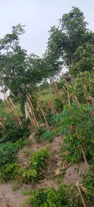 Additional view of Landed Property for Sale in Yaikyo