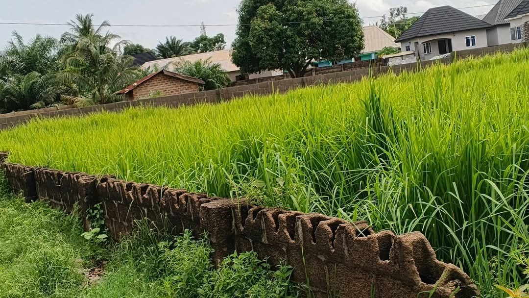 Additional view of Spacious Plot of Land in Kanshio