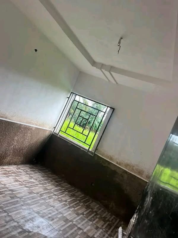 Additional view of Brand New One Room Self Contain