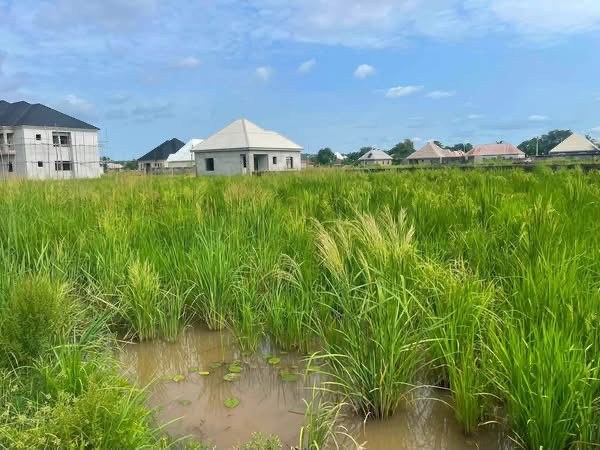 Additional view of 100x100 Plot of Land for Sale