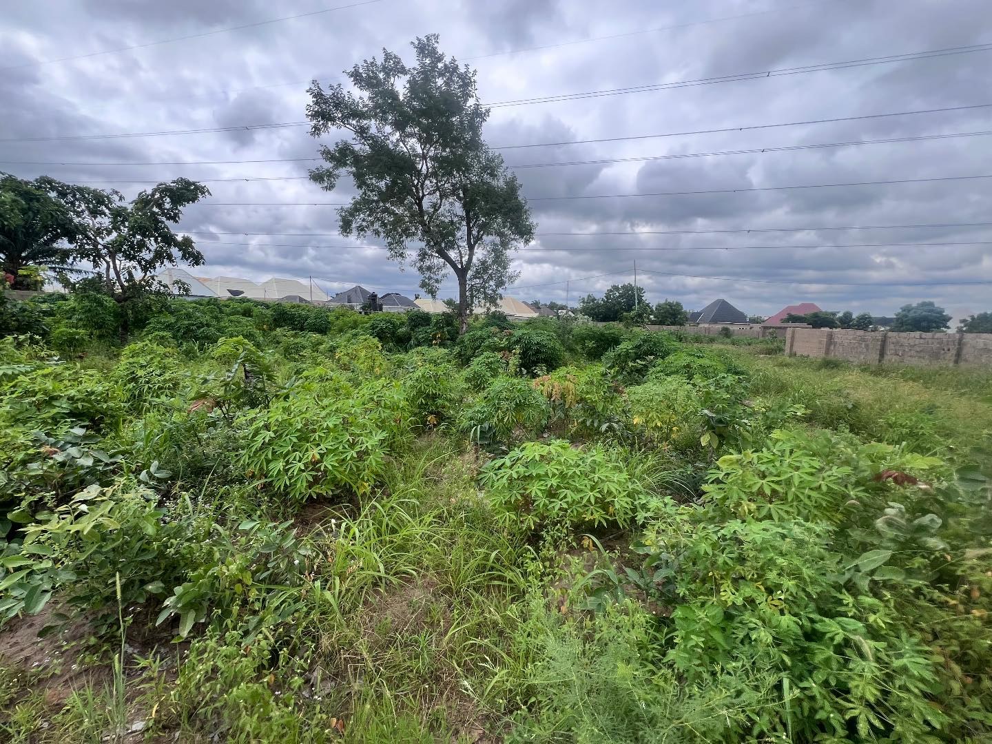 Additional view of 100/100 Land in Nyon City