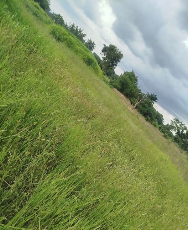 Plots for Sale Welfare Quarters Makurdi for sale in Welfare Quarters, Makurdi, Benue