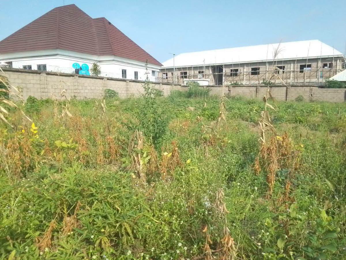 100x50 Plot of Land for Sale for sale in Ayihe, Makurdi, Benue