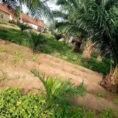 Land for Sale Behind International Market for sale in Behind International Market, Makurdi, Benue
