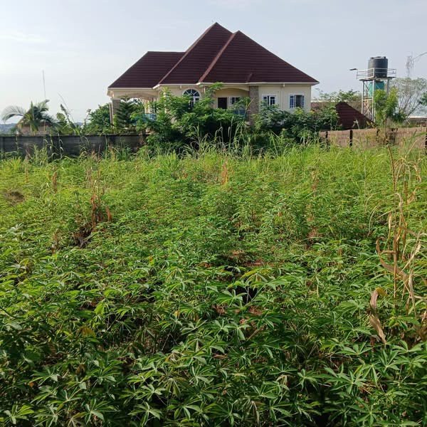 100ft x 100ft Plot of Land for sale in High Level, Makurdi, Benue