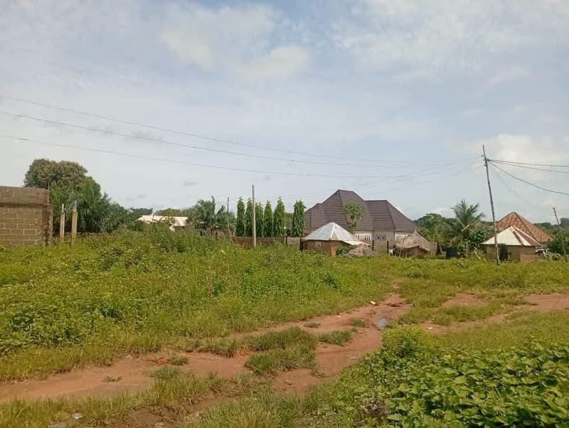 Plot of Land at Tse Poor Layout for sale in Tse Poor Layout, Makurdi, Benue