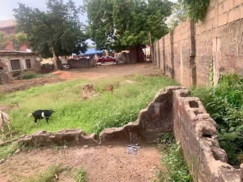 Additional view of Fenced Land for Sale