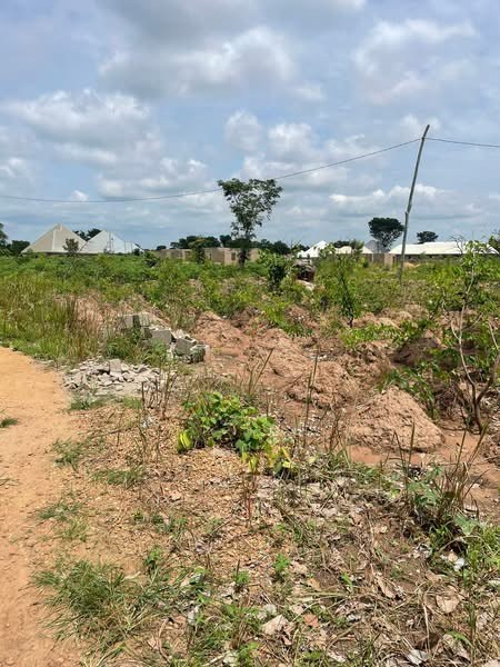 Additional view of 100 by 50 Plot of Land
