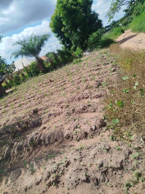 Available Land Plots for Sale in Makurdi for sale in Behind White House, immediately after Lower Benue, Makurdi, Benue