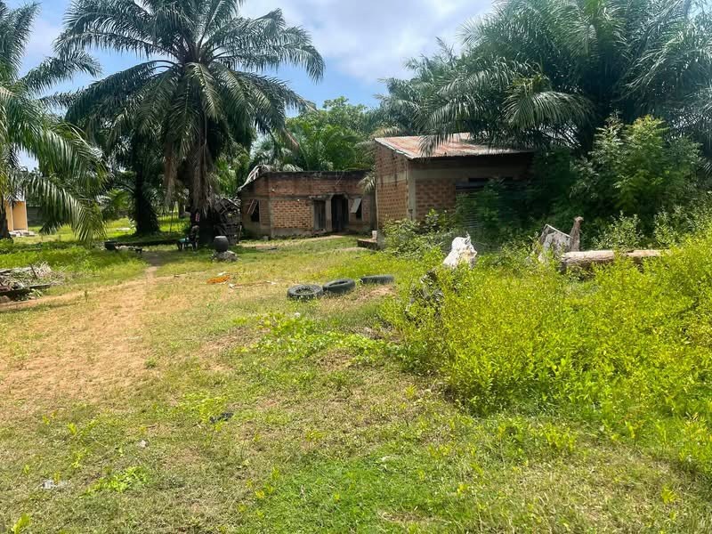 100x100 Plot of Land for Sale for sale in Nyorgyungu, Makurdi, Benue