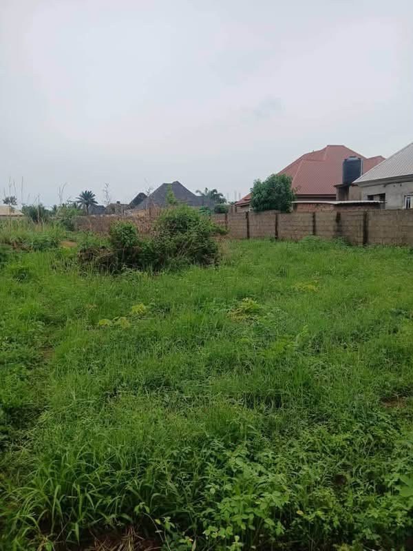 Additional view of Fenced Land for Sale in Nyon