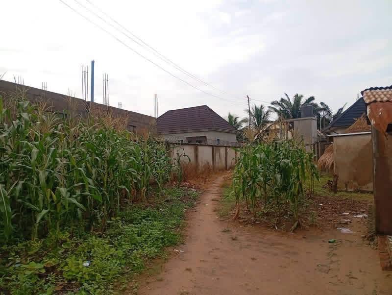 Additional view of Land for Sale at Nyon Makurdi