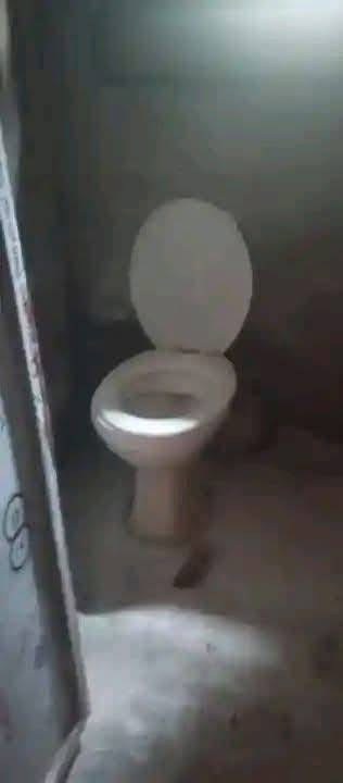 Additional view of Spacious Single Room Self Contain