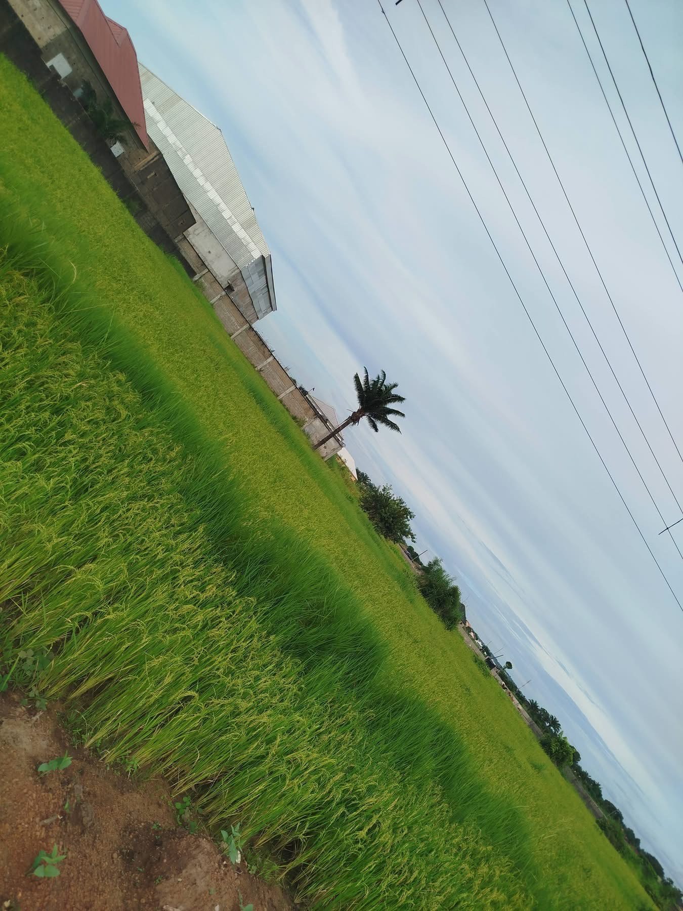 Additional view of Industrial Layout Land