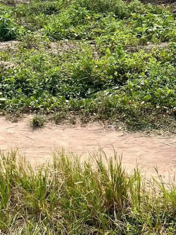 Plot of Land at Yaikyo New Road for sale in Yaikyo, Makurdi, Benue