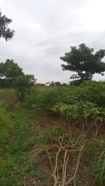 Additional view of Prime Land for Sale Gboko North
