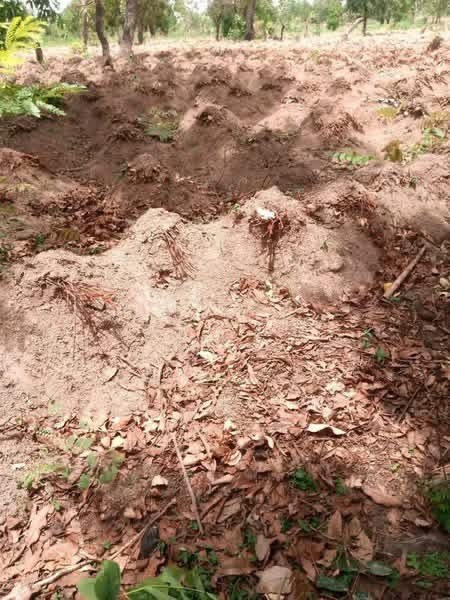 Additional view of Plots of Land for Sale in Gboko