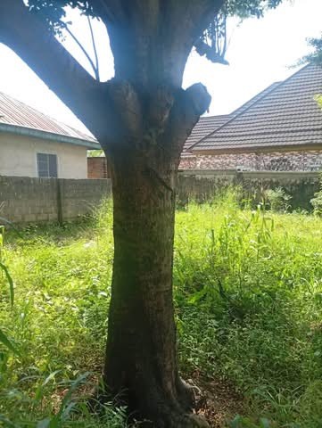 Additional view of Uncompleted One Bedroom Apartment and Single Room