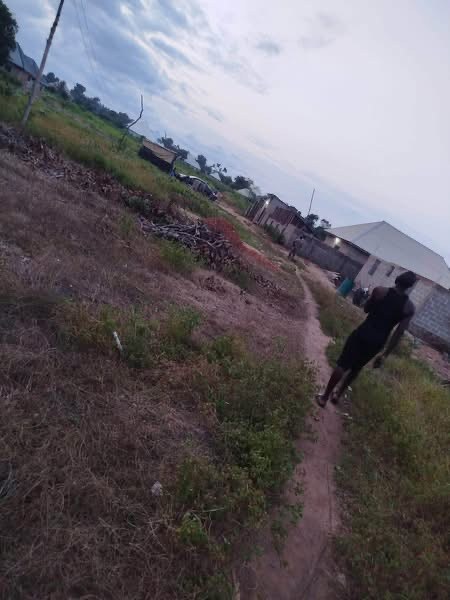 Additional view of Land Plot for Sale in Apir