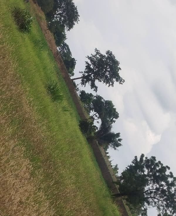 Additional view of Plots for Sale Welfare Quarters Makurdi