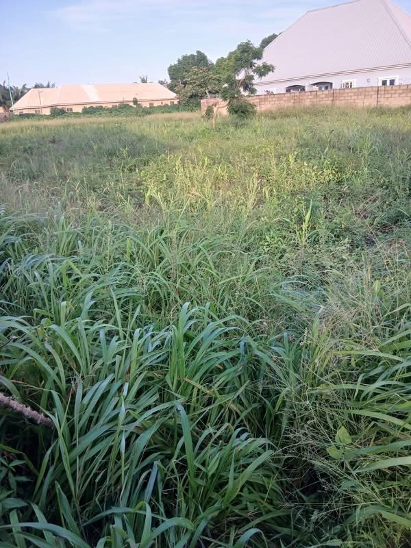 Additional view of Plot of Land For Sale Nyorgungu Makurdi