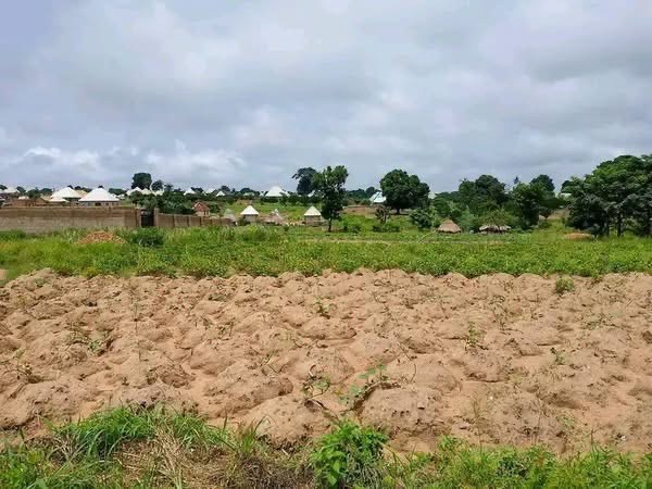 Additional view of Land for Sale in Gboko