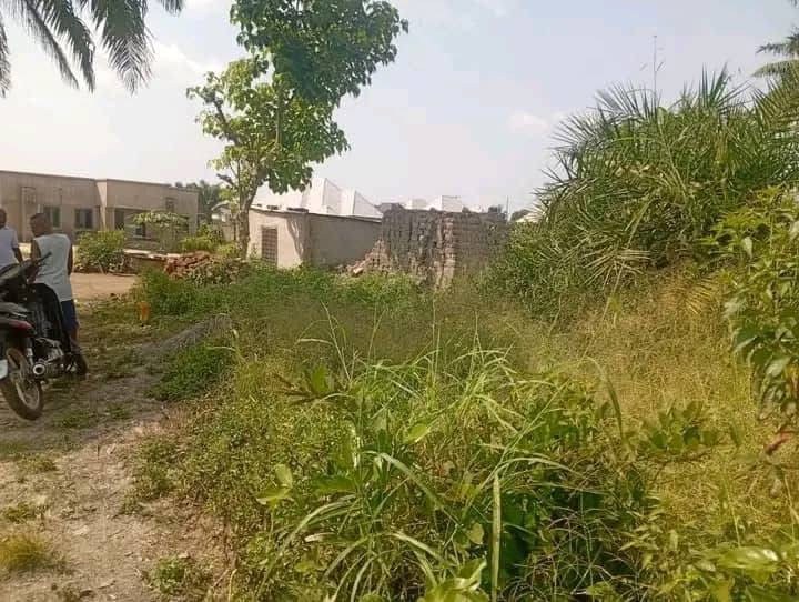 50/50 Plot with Foundation for Sale for sale in Maitama, Makurdi, Benue