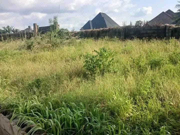 Additional view of Land for Sale, Opposite International Market Makurdi
