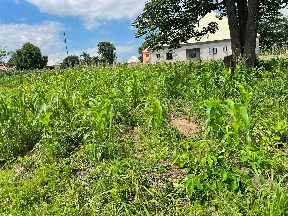 Additional view of Plot of Land for Sale in Tse Poor