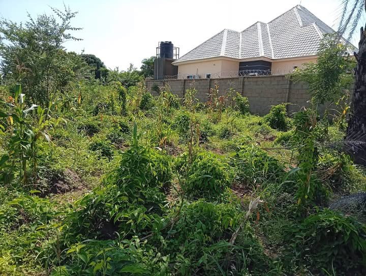 Additional view of Fenced Land for Sale in Makurdi