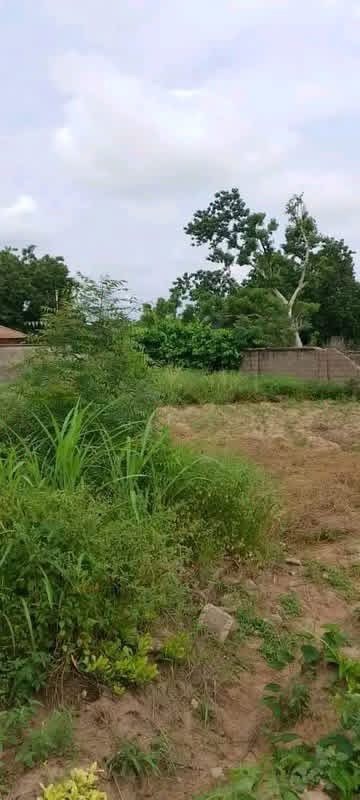 Additional view of Fenced Land with C-of-O in Makurdi