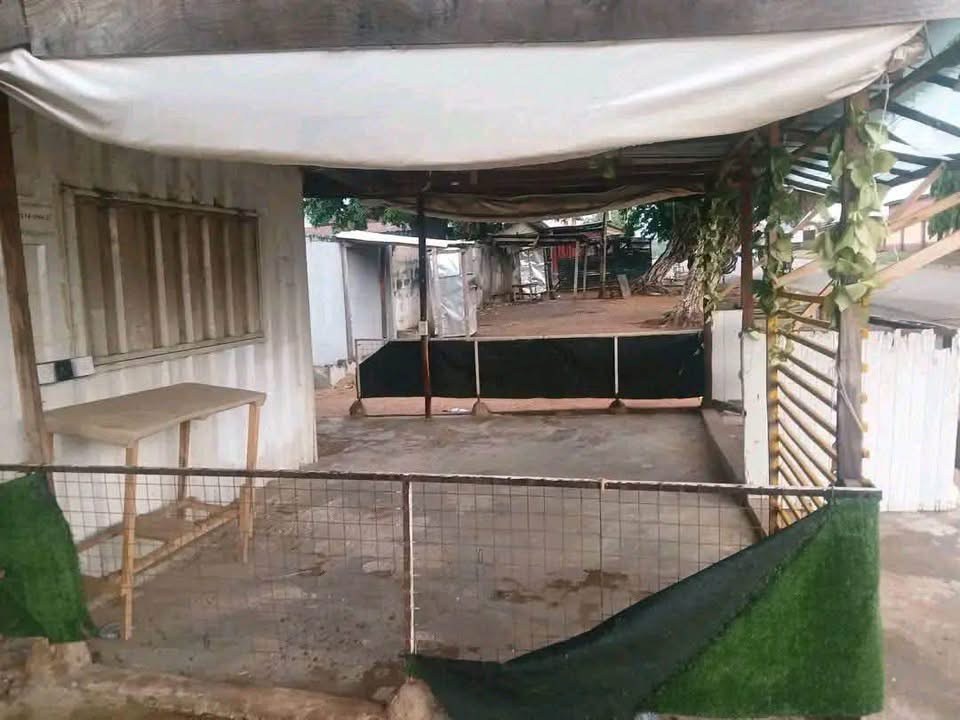 Additional view of Container with Extension for Sale