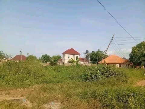 Additional view of 100 by 100 Plot of Land