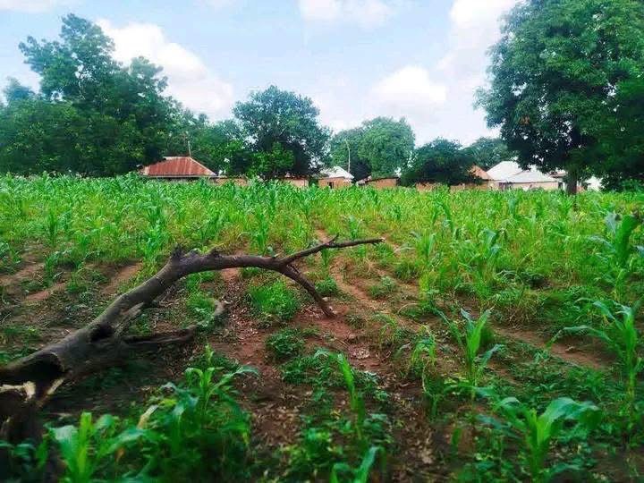 4 Plots of Land for Sale for sale in Welfare Quarters, Makurdi, Benue
