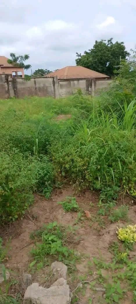 Additional view of Fenced Land with C-of-O in Makurdi