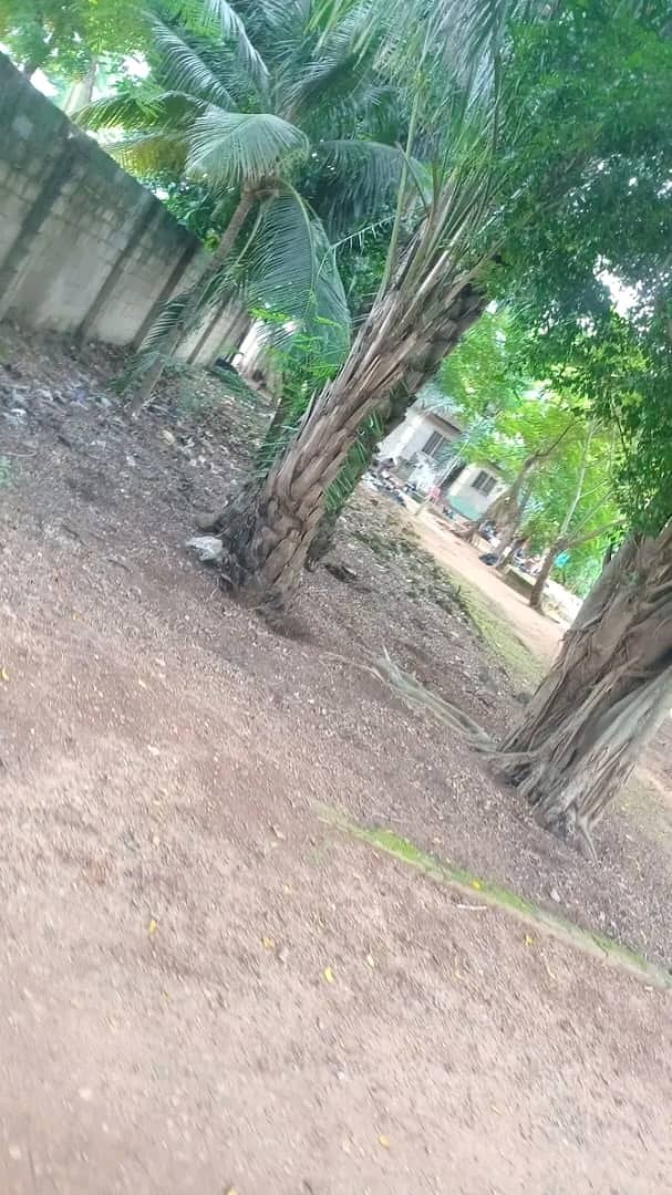 Additional view of Fenced Land with 4-Bedroom Bungalow