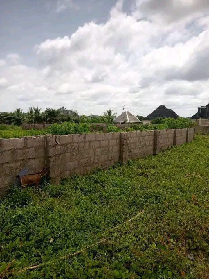 Additional view of Plot of Land in Ajaba Layout