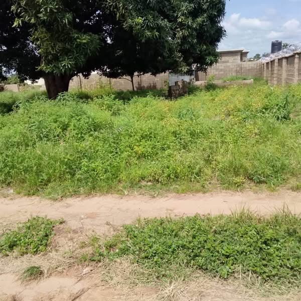 Additional view of Prime Fenced Land for Sale