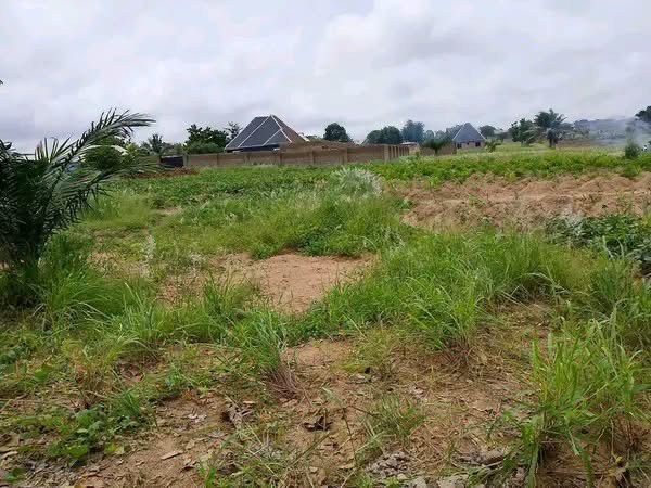 Additional view of Land for Sale in Gboko