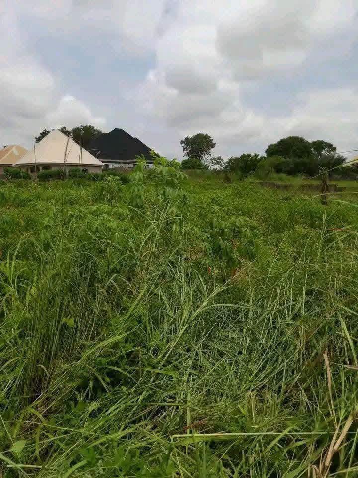Additional view of Plot of Land in Ajaba Layout