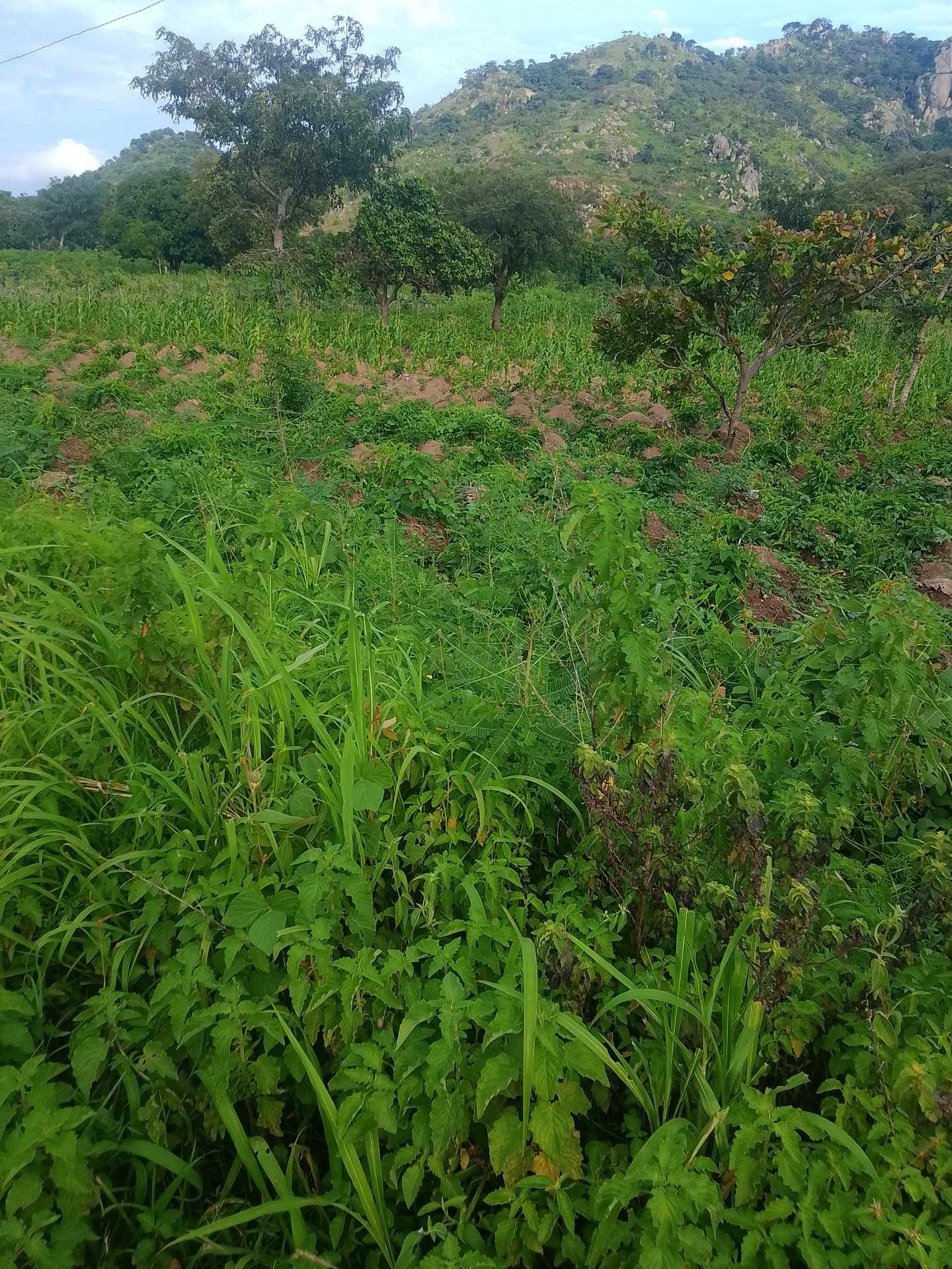 Additional view of Residential Land Plots For Sale