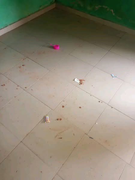 Additional view of Tiled Self Contain at Villa Suite