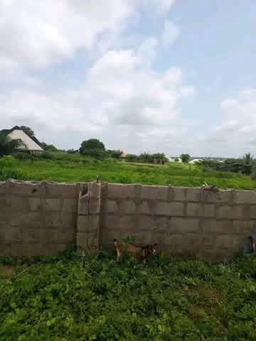 Additional view of Plot of Land in Ajaba Layout