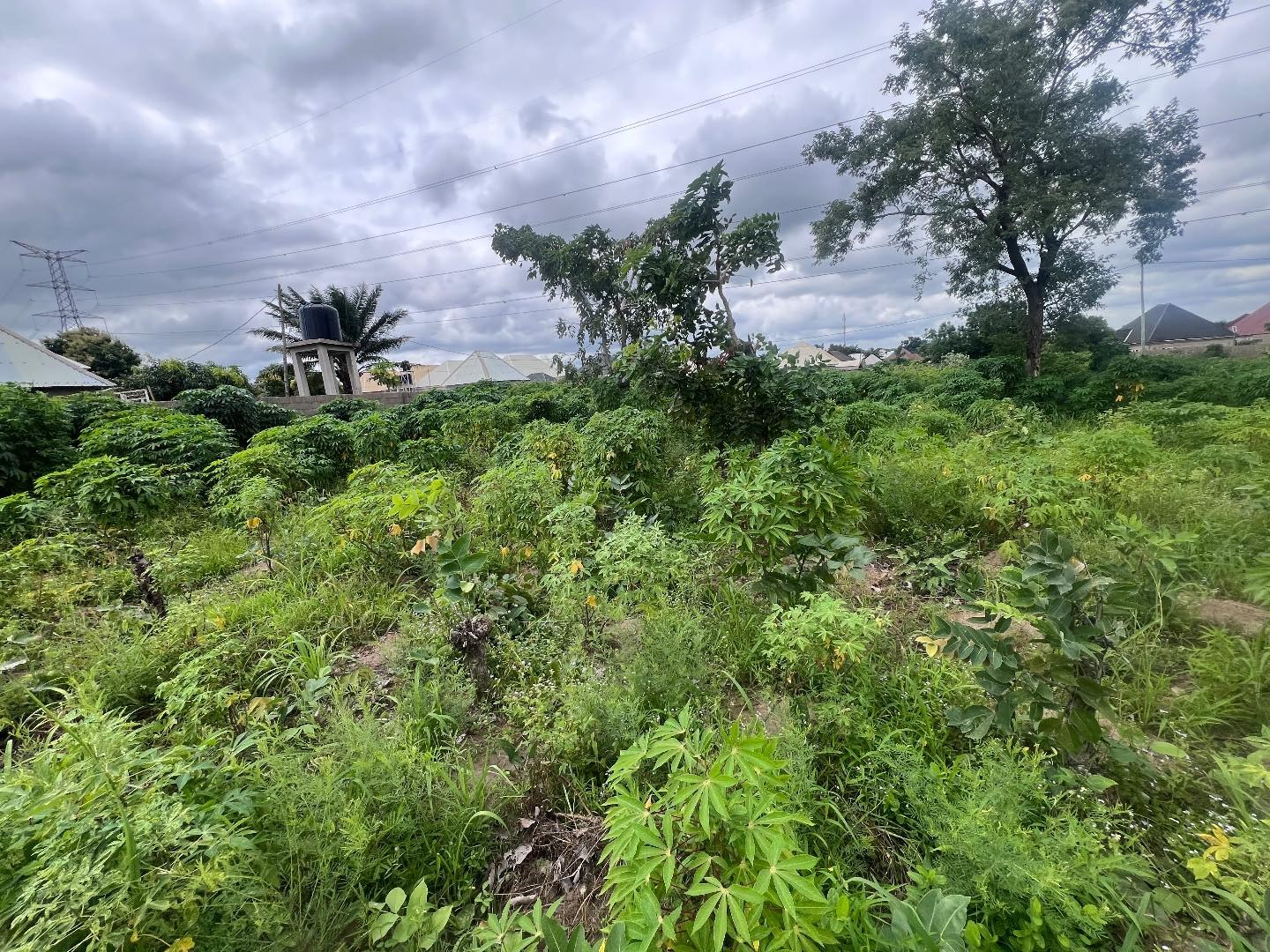 Additional view of 100/100 Land in Nyon City