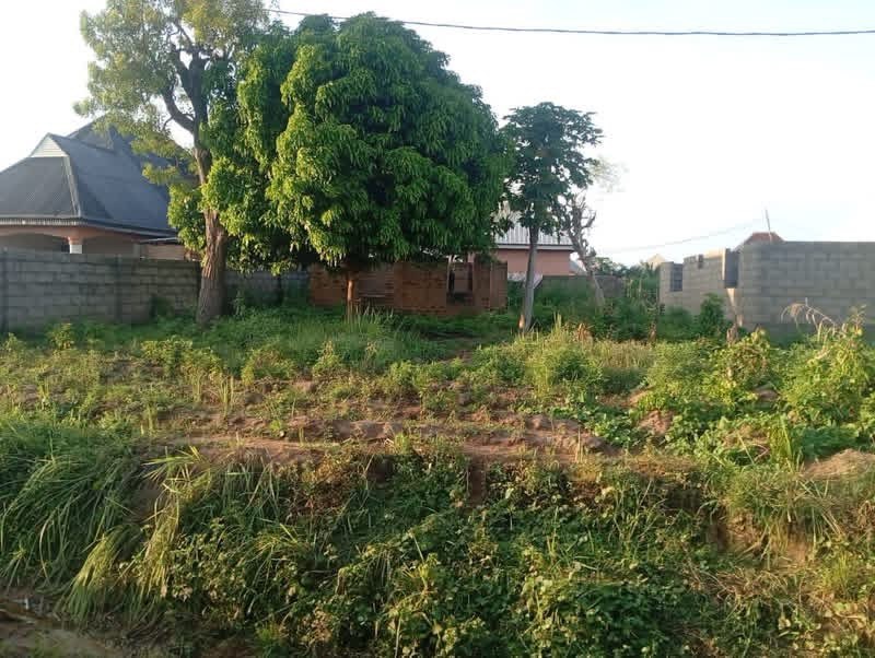 Additional view of Land in Tse Adi Extension