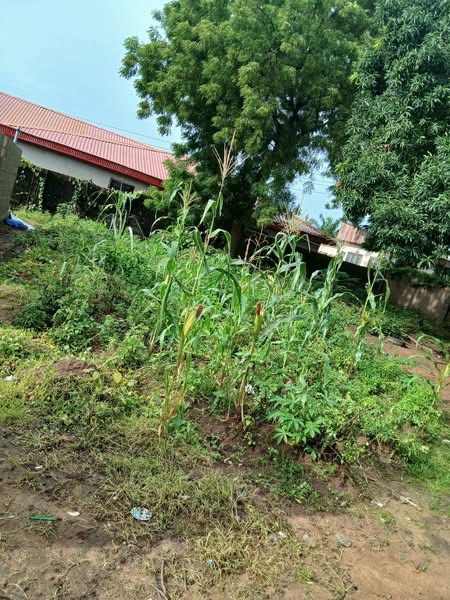 Additional view of Residential Property for Sale in Makurdi