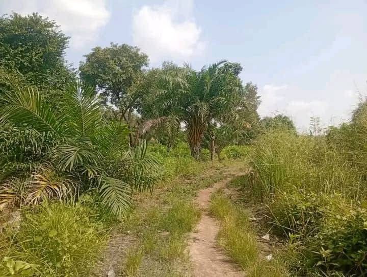Additional view of 50/50 Plot with Foundation for Sale