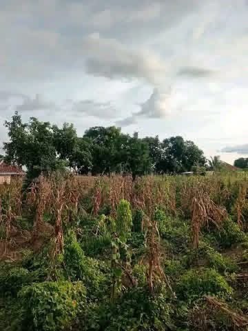 Additional view of Developed Residential Plot in Achusa Makurdi